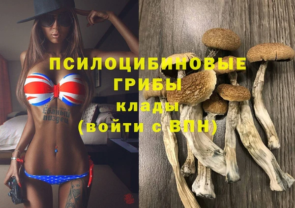 тгк Михайлов