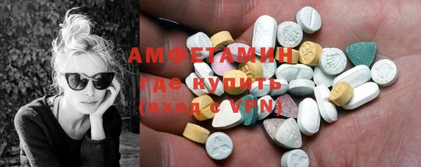 прущие грибы Новый Уренгой