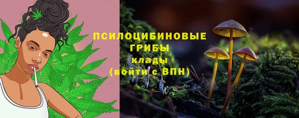 спайс Абаза